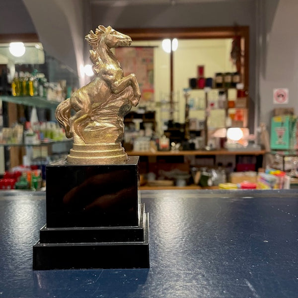 Trophy ’NOT MY FIRST RODEO’ – ROUGH&RAW