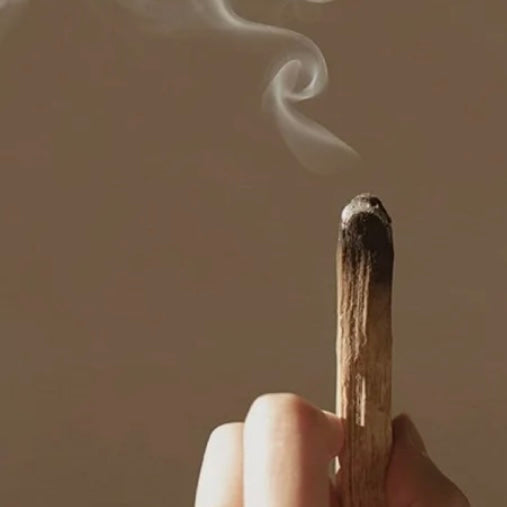 GLOSOME Palo Santo Sticks
