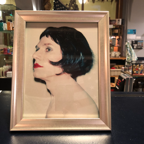 Warhol Portrait Frame